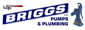 Logo-Briggs Pumps and Plumbing