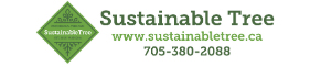 Logo-Sustainable Tree